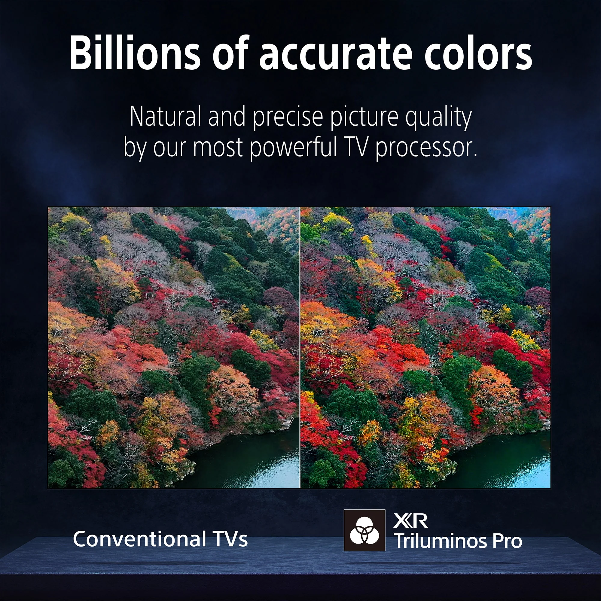 Sony | BRAVIA 8 | 55 Inch | XR-OLED | XR Processor | Exclusive features for PS5 gaming | 4K HDR Dolby Vision Smart TV (Google TV) | 2024 Model - Image 8